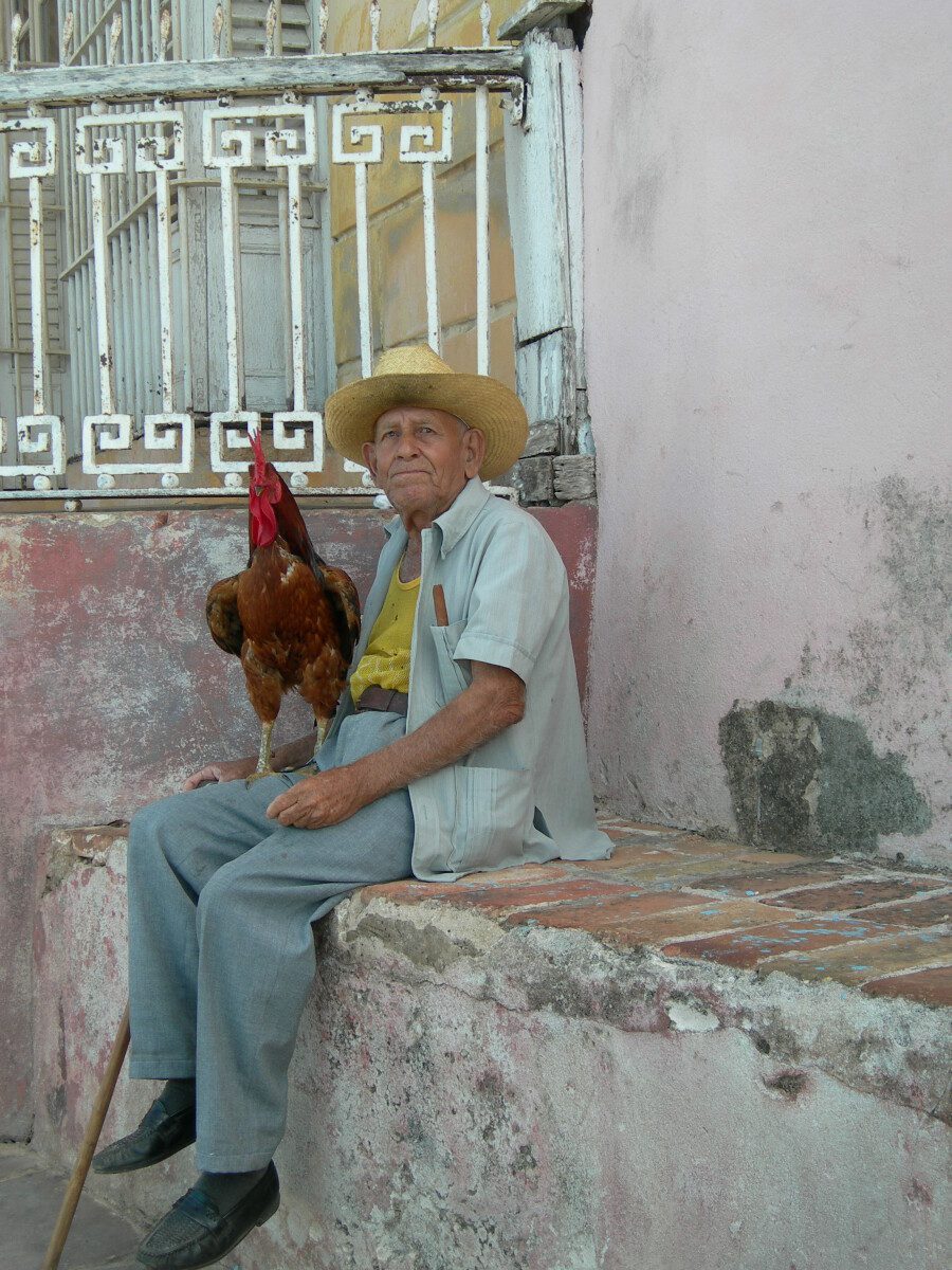 Una Fila Di Autentici Sigari Cubani Fila Di Sigari Foto SFONDO E