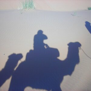 Autore Avatar