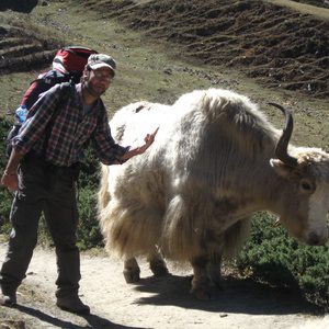 Autore Avatar