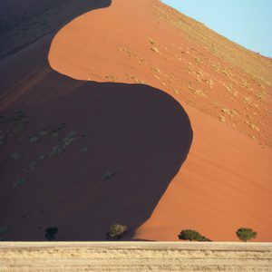 Autore Avatar