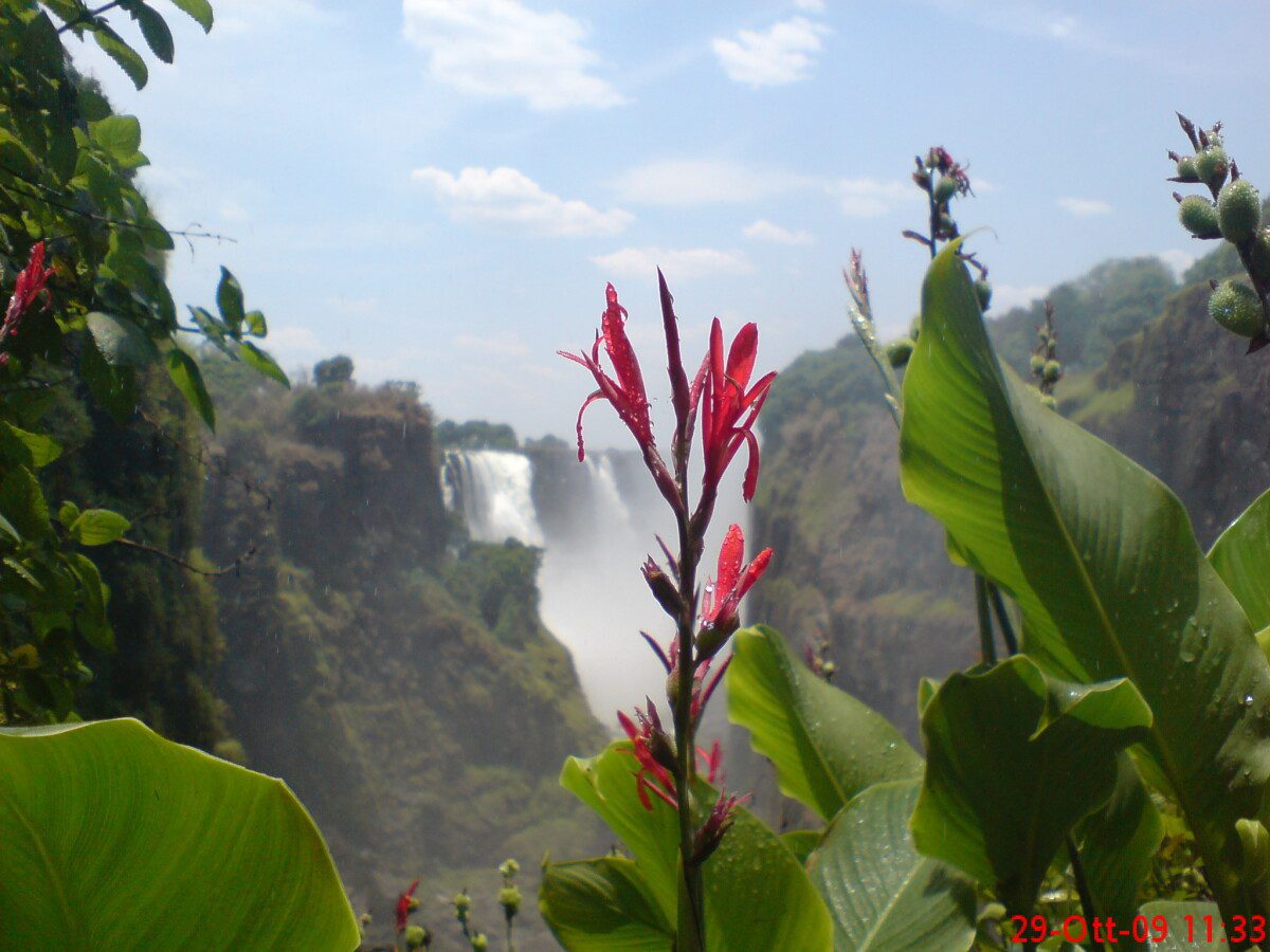 Taccuino di viaggio Il Mio Giro Del Mondo - Africa