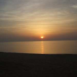 Autore Avatar