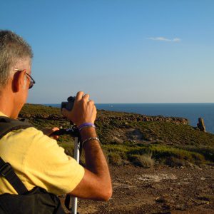Autore Avatar