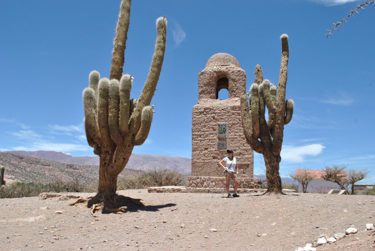 cactus giganti