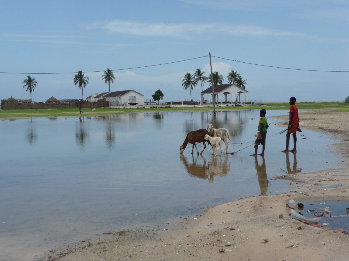 Lo Spirito dell'Africa, viaggio in Casamance