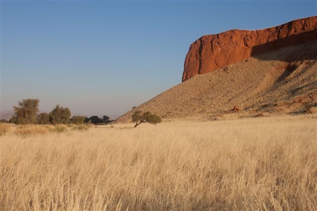 In Namibia con bimbi al seguito