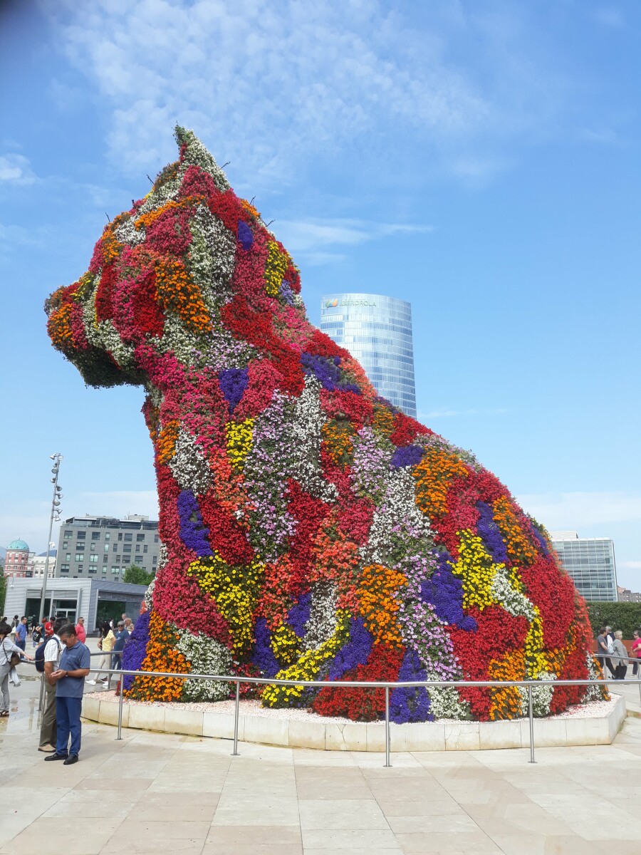 Puppy Bilbao
