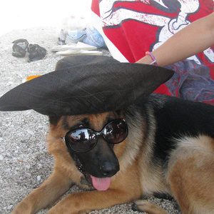 Autore Avatar