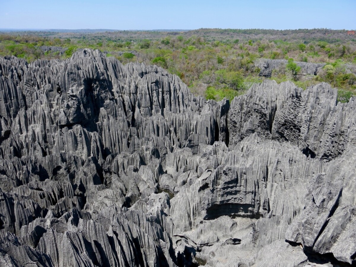 Madagascar - Parco Nazionale degli Tsingy di Bemaraha.jpg