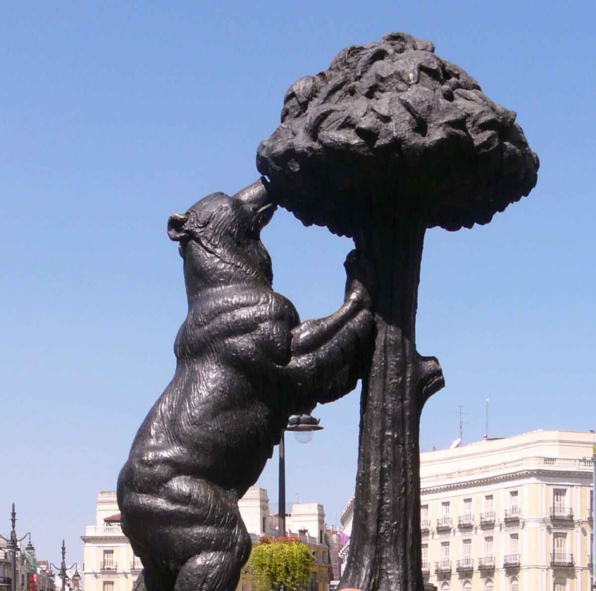 Orso con corbezzolo