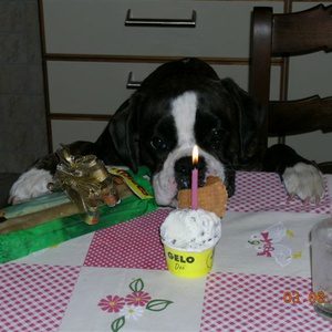 Autore Avatar