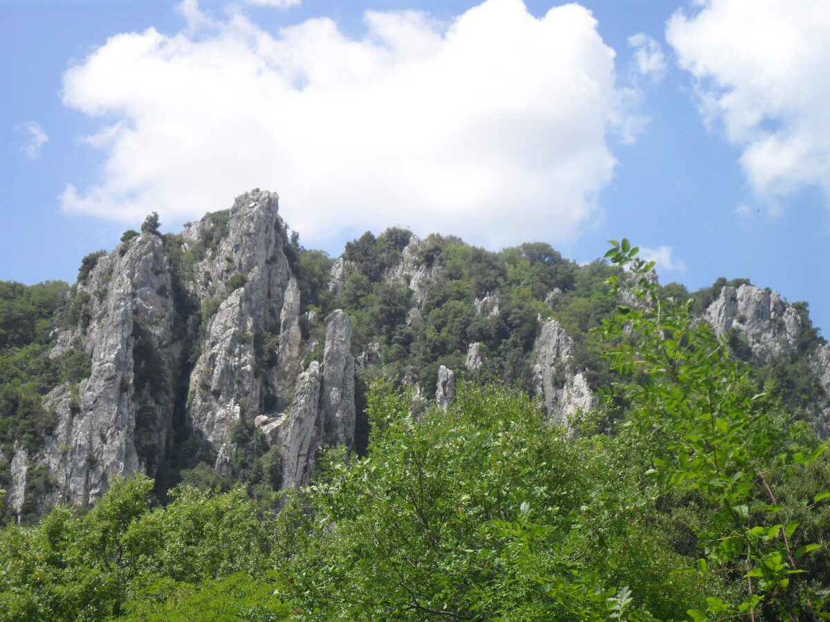 là dove osano le aquile....bosco rocconi