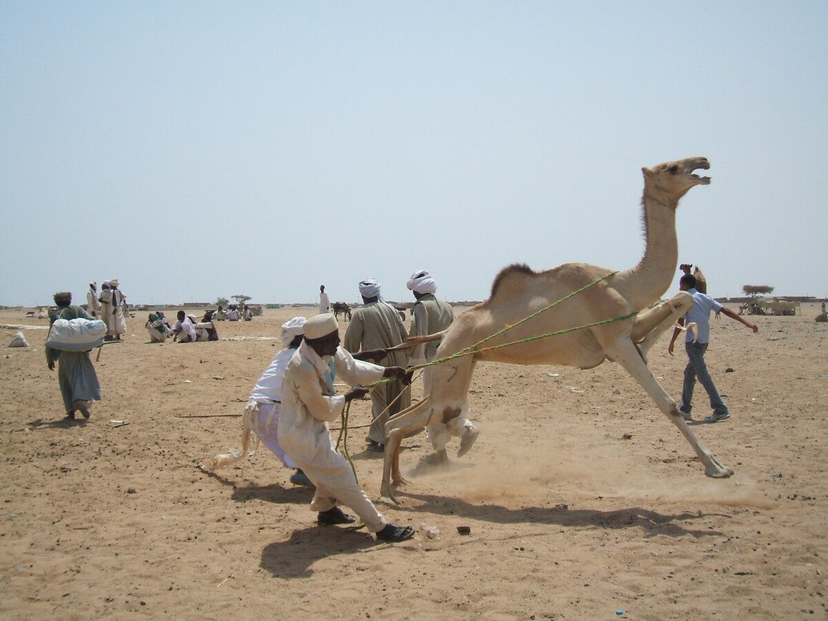 Marsa Alam e le sue meraviglie