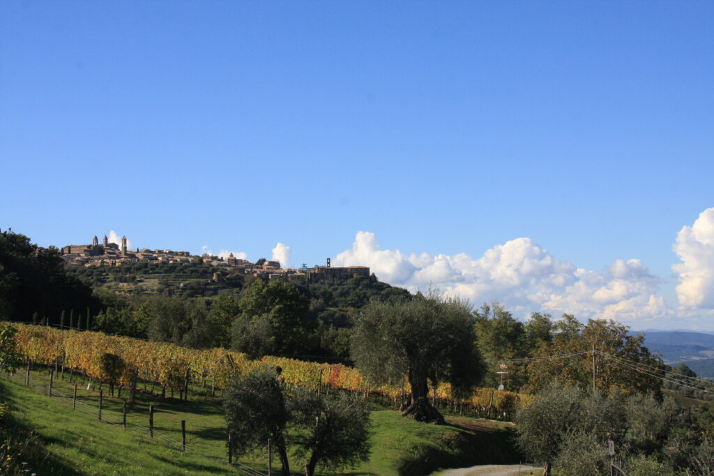 Montalcino