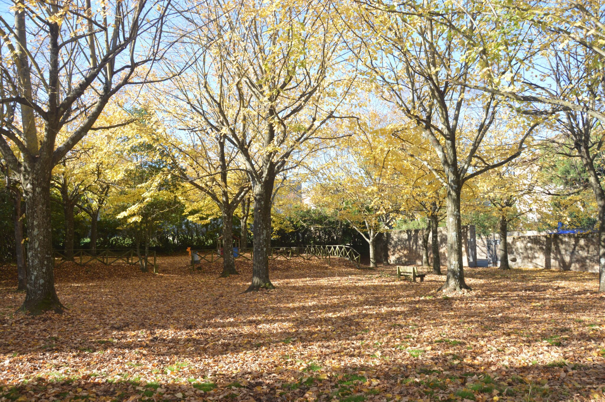 E' arrivato l'autunno! (Storia dell'Arte) -Arte per Te- 